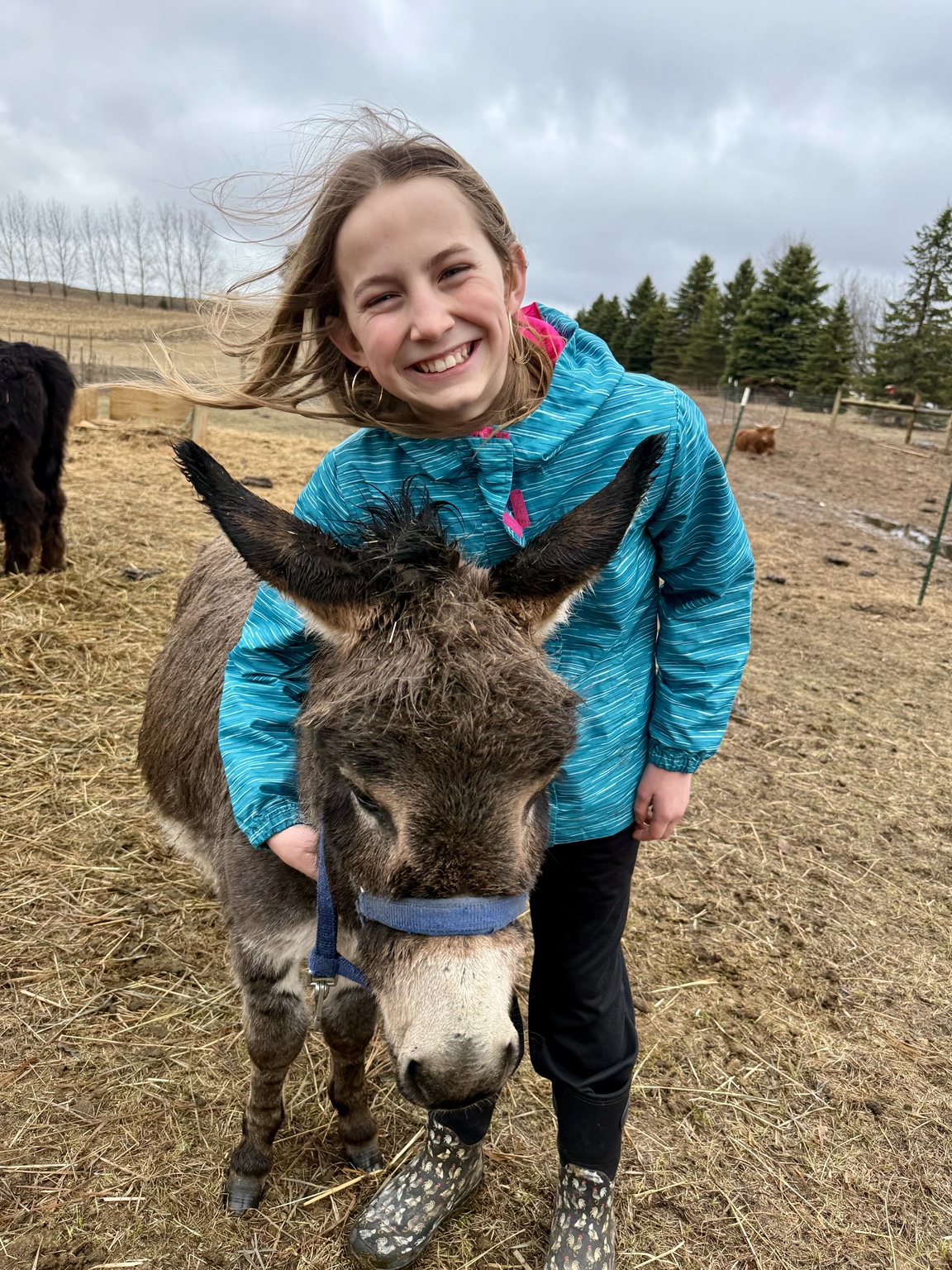A young visitor with a miniature donkey